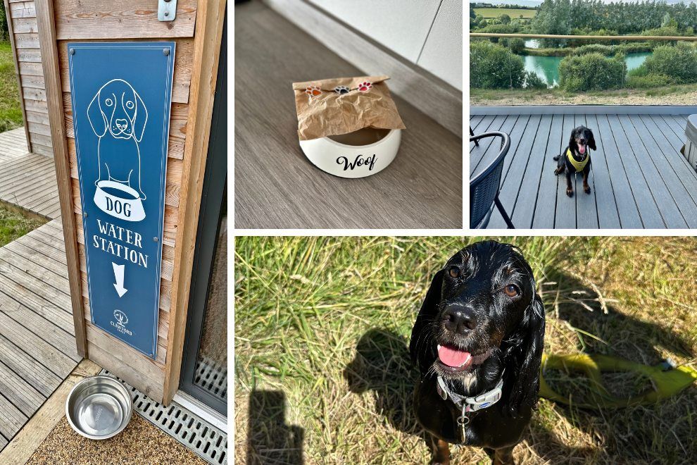 Clawford Lakes & Resort Escape A Travel Daily Review dog friendly holiday Devon