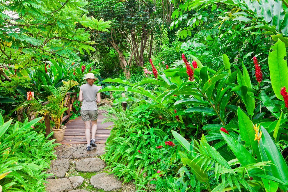 Discover Paradise Unveiling Top 10 Must Visit Destinations in Barbados Andromeda Botanical Gardens