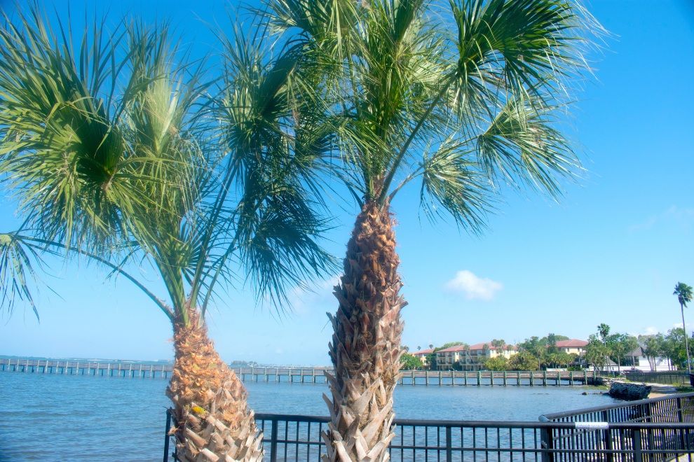 Do as the Locals Do in Dunedin Florida travel