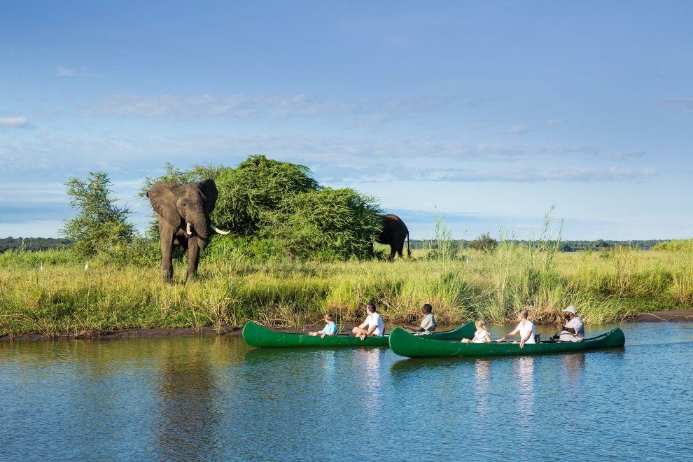 Looking for a real family travel adventure? Family fun Zimbabwe Great Plains Conservation 