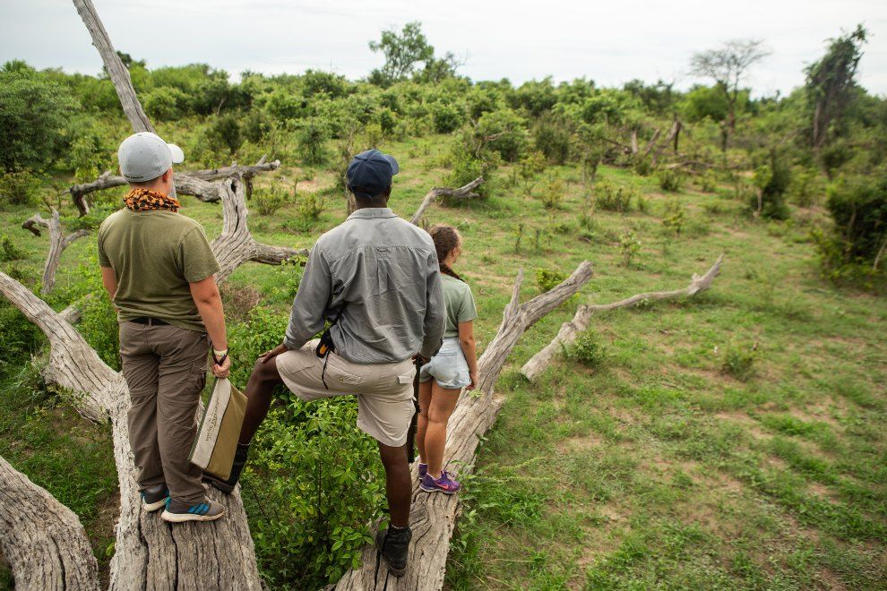 Looking for a real family travel adventure? Zimbabwe Great Plains Conservation luxury travels