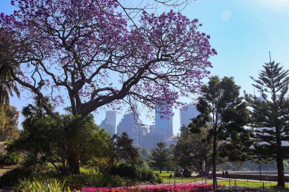 Seven Unforgettable Ways to Experience Sydney Beyond the Womens World Cup