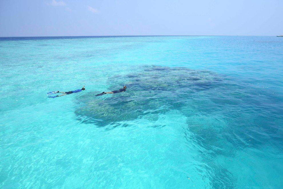 Solo Traveller Packages in The Maldives with Gili Lankanfushi snorkelling