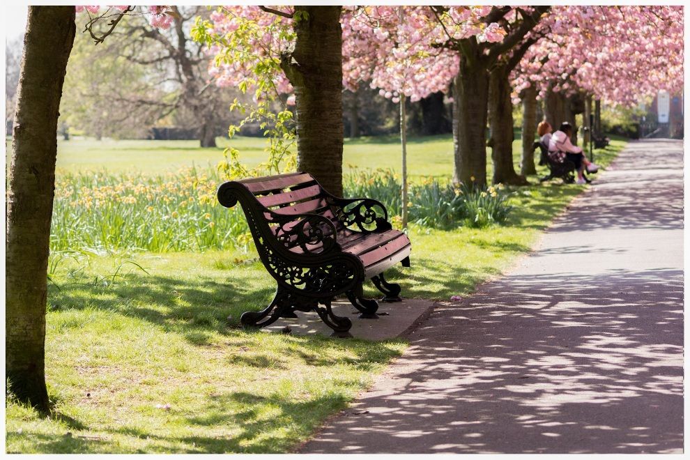 Study Reveals the Best Destinations to View Cherry Blossom Season in the UK travel