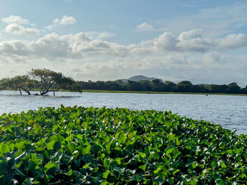 Uga Ulagalla Sri Lanka kayaking reservoir travel