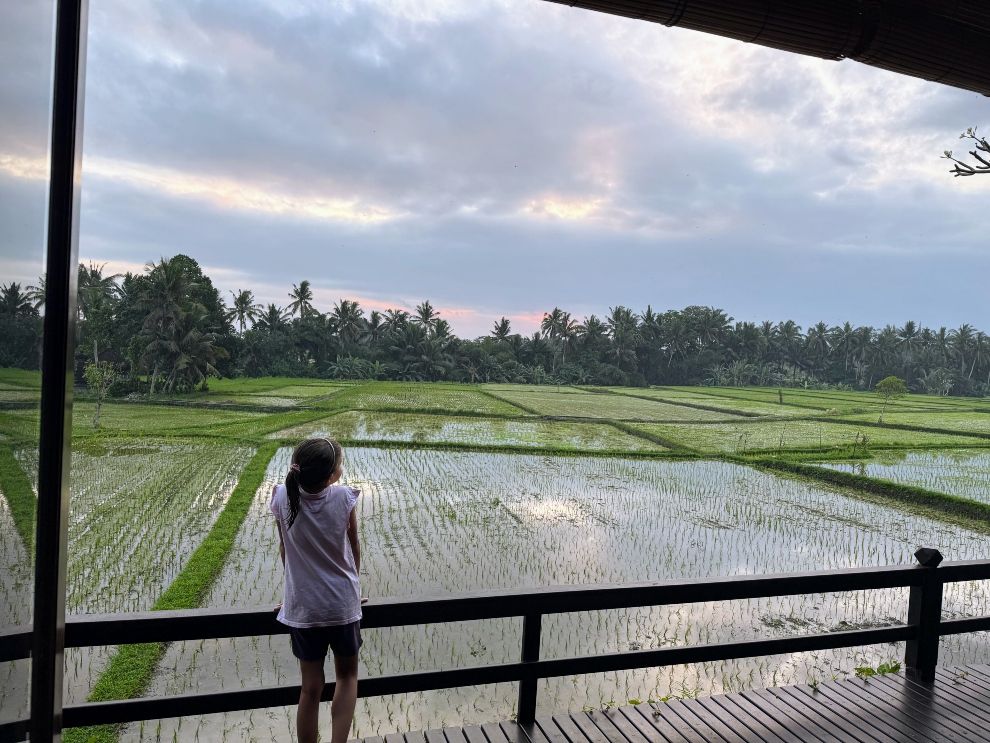 Wanderlearn Family Travel Worldschooling Ubud Bali Rice Paddy Views