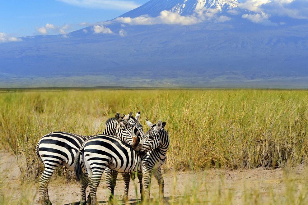 Worldschooling Opportunity: Kilimanjaro and Africa Trip 2024