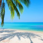 Black Friday tips? Travel expert reveals how to snag the best travel deals