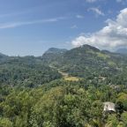 Halpewatte Tea Factory Ella Sri Lankas Hill Country Family Travel
