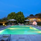 Risoluzione Alta Lavorata Travel Daily