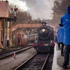 South Devon Polar Train Image 