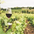 Wine glass France wine tasting experience travel