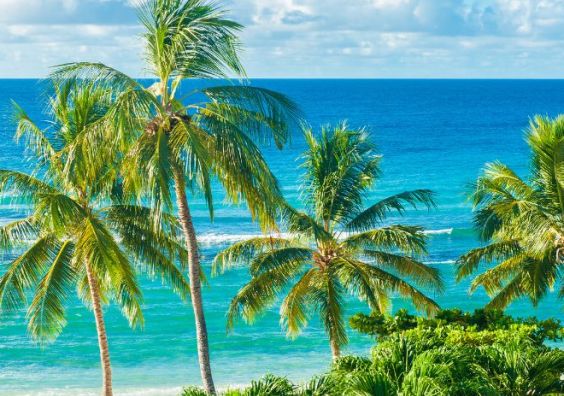 Barbados sustainable luxury holidays travel