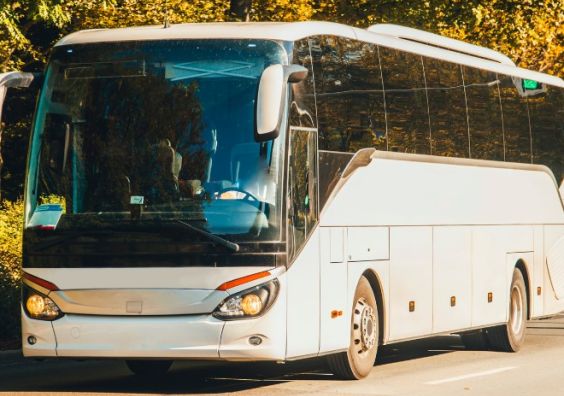 Coach Travel Autumn Trees
