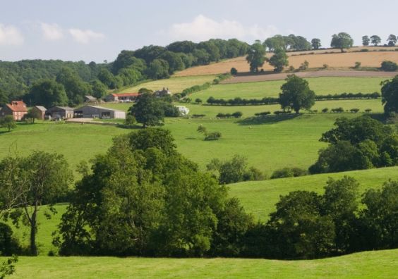 Yorkshire Wolds Rural Britain Travel 