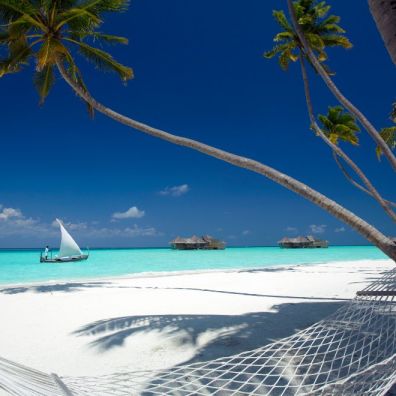 Palm Beach with Hammock Gili Lankanfushi The Maldives surfing holiday travel