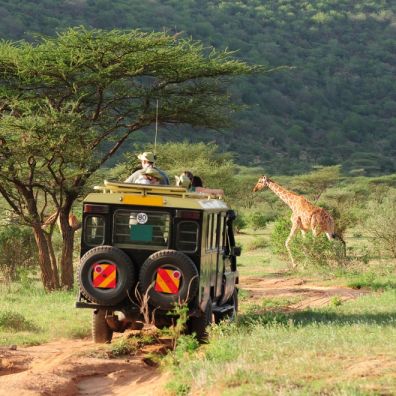 Best winter sun travel departures to book right now Kenya