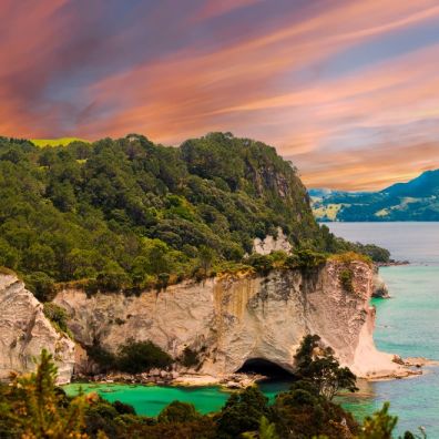 Escape the Winter and Travel Down Under The Coromandel New Zealand