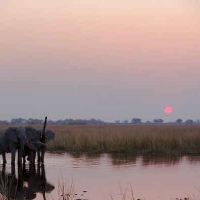 Great Plains Expeditions New Botswana Travel Experience