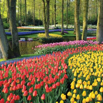 Great Rail Journeys Floriade Flower Show and Keukenhof Gardens travel