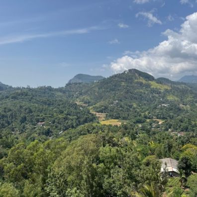 Halpewatte Tea Factory Ella Sri Lankas Hill Country Family Travel