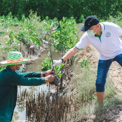 Krailart Niwate Mangrove Preservation Project