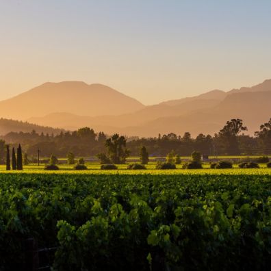 Multi-trip travel trend Experience up to five different holidays in one culture trip napa valley