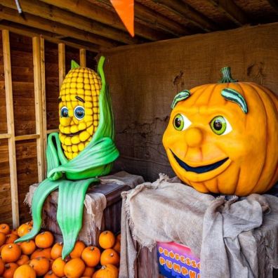 Paultons Park Best Budget-Friendly Halloween Holiday Events travel