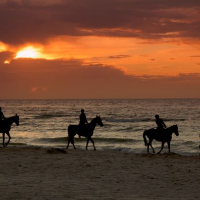 Saddle up! Top Holiday Resort Siyam World launches Maldives first resort horse ranch travel