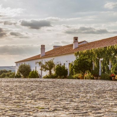 Travel News: São Lourenço do Barrocal wins 1st place of the 2021 CNT Readers Choice Awards