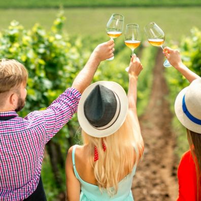 UK best vineyards staycation travel