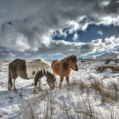Why a winter holiday is good for the soul Dartmoor Devon travel