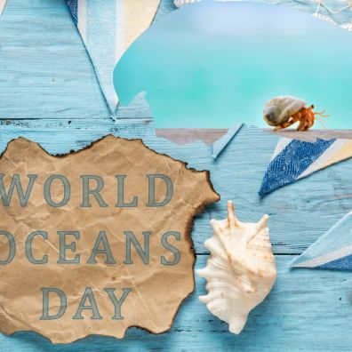 World Oceans Day Crab Conservation Travel