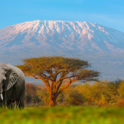 Worldschooling Opportunity: Kilimanjaro and Africa Trip 2024 travelling